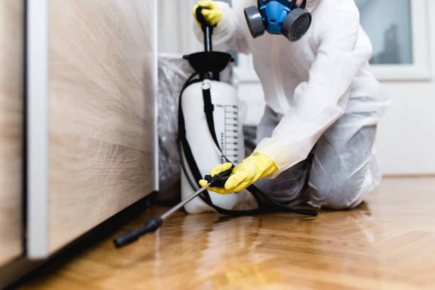 Best Best Pest Control Companies  in Sharpsburg, NC