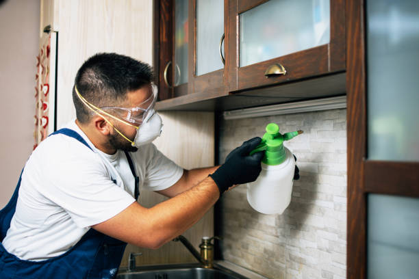 Best Termite Control Services  in Sharpsburg, NC