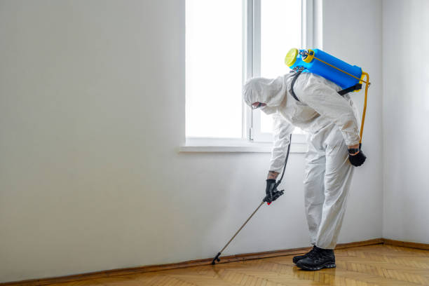 Best Affordable Pest Control Services  in Sharpsburg, NC