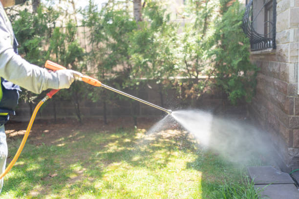 Best Wasp Removal Services  in Sharpsburg, NC