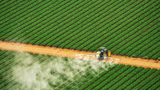 Best Pest Control for Homes  in Sharpsburg, NC