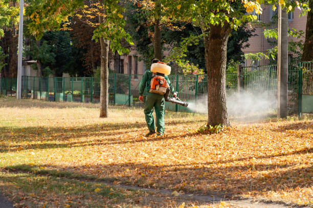 Best Affordable Pest Control Services  in Sharpsburg, NC
