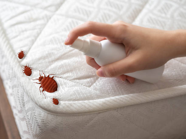 Best Ant Control Services  in Sharpsburg, NC