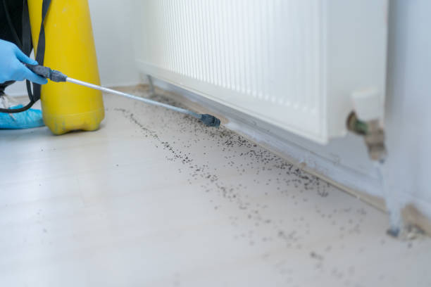 Pest Prevention Services in Sharpsburg, NC