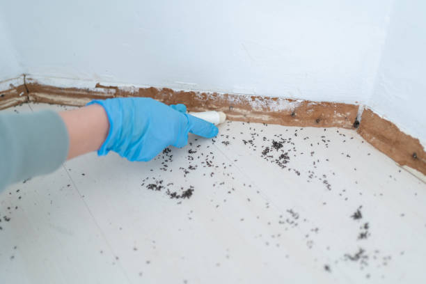 Best Pest Prevention Services  in Sharpsburg, NC
