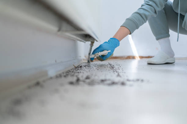 Best Residential Pest Control  in Sharpsburg, NC