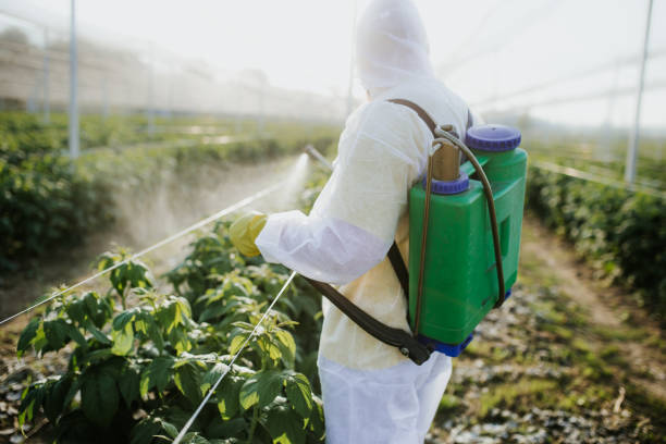 Wildlife Control Services in Sharpsburg, NC